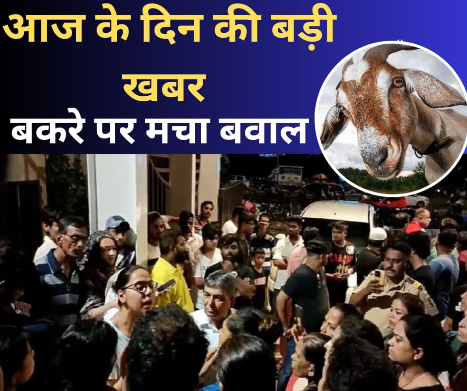 Uproar over goat in Mumbai before Eid, Hanuman Chalisa read