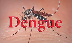 Dengue rate doubled in Delhi, 41 dengue cases came in July