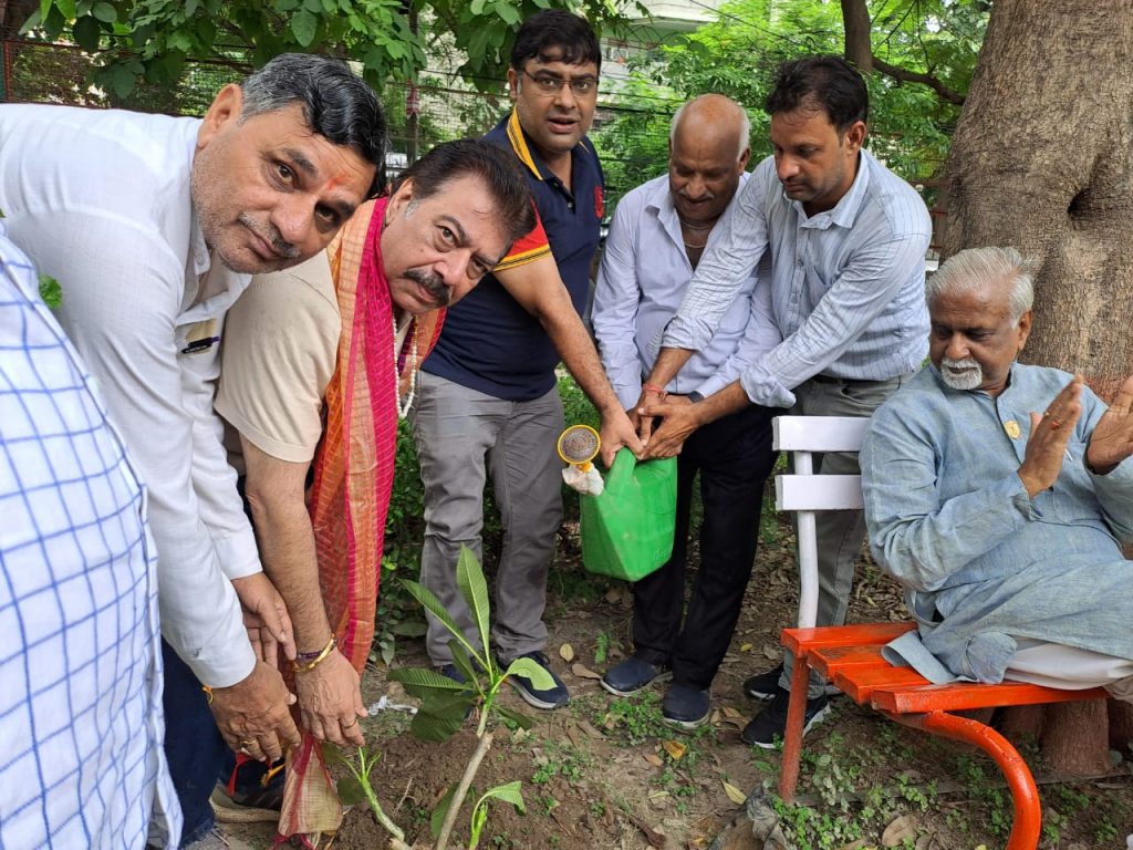 Plantation done by Lions Club Delhi Kiran with the aim of increase greenery, reduce pollution