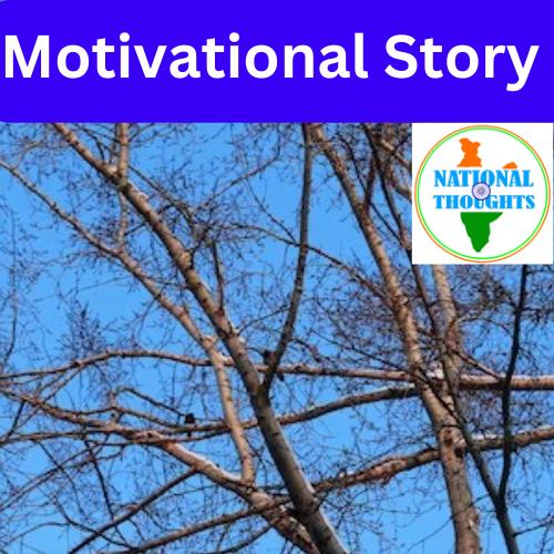 motivational story - broken twigs and sky